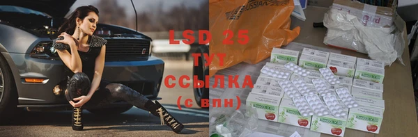 индика Алексеевка