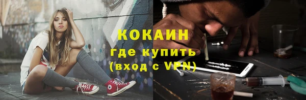 индика Алексеевка