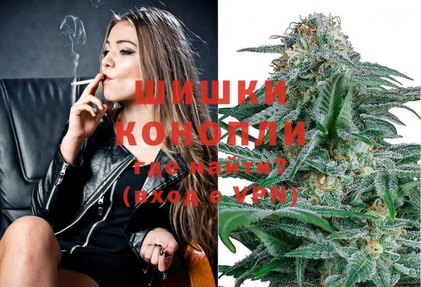индика Алексеевка