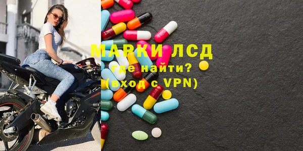 ECSTASY Алзамай