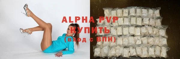 ECSTASY Алзамай