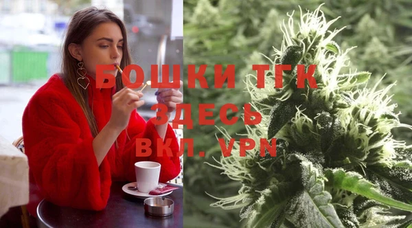 шишки Алексин