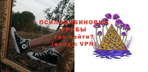 шишки Алексин