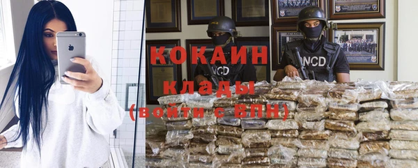 шишки Алексин