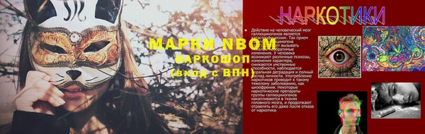 шишки Алексин