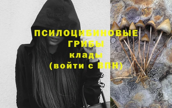 шишки Алексин